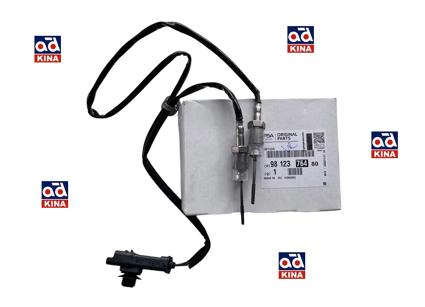 EKSOZ SICAKLIK SENSÖRÜ P3008 P301 P308 P5008 P508 EXPERT-IV PARTNER RIFTER