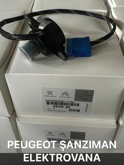 OTOMATİK ŞANZUMAN BASINÇ VALFİ 252925 P206 P208 P307 P407 C4 C5