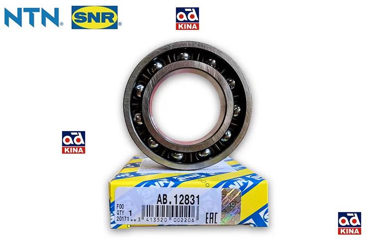 DEFRANSİYEL BİLYASI AB12831 R9 KÜÇÜK